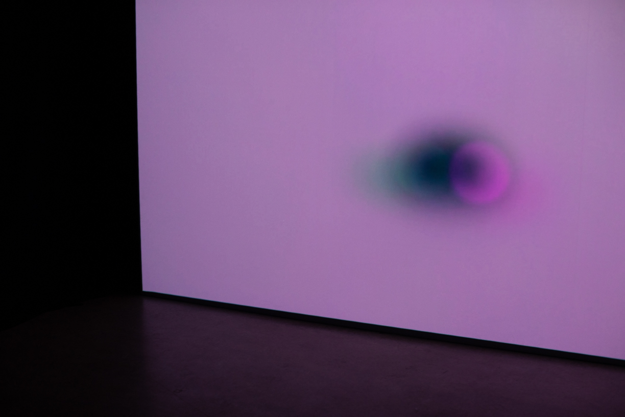 23 Possible Ends of a Firefly