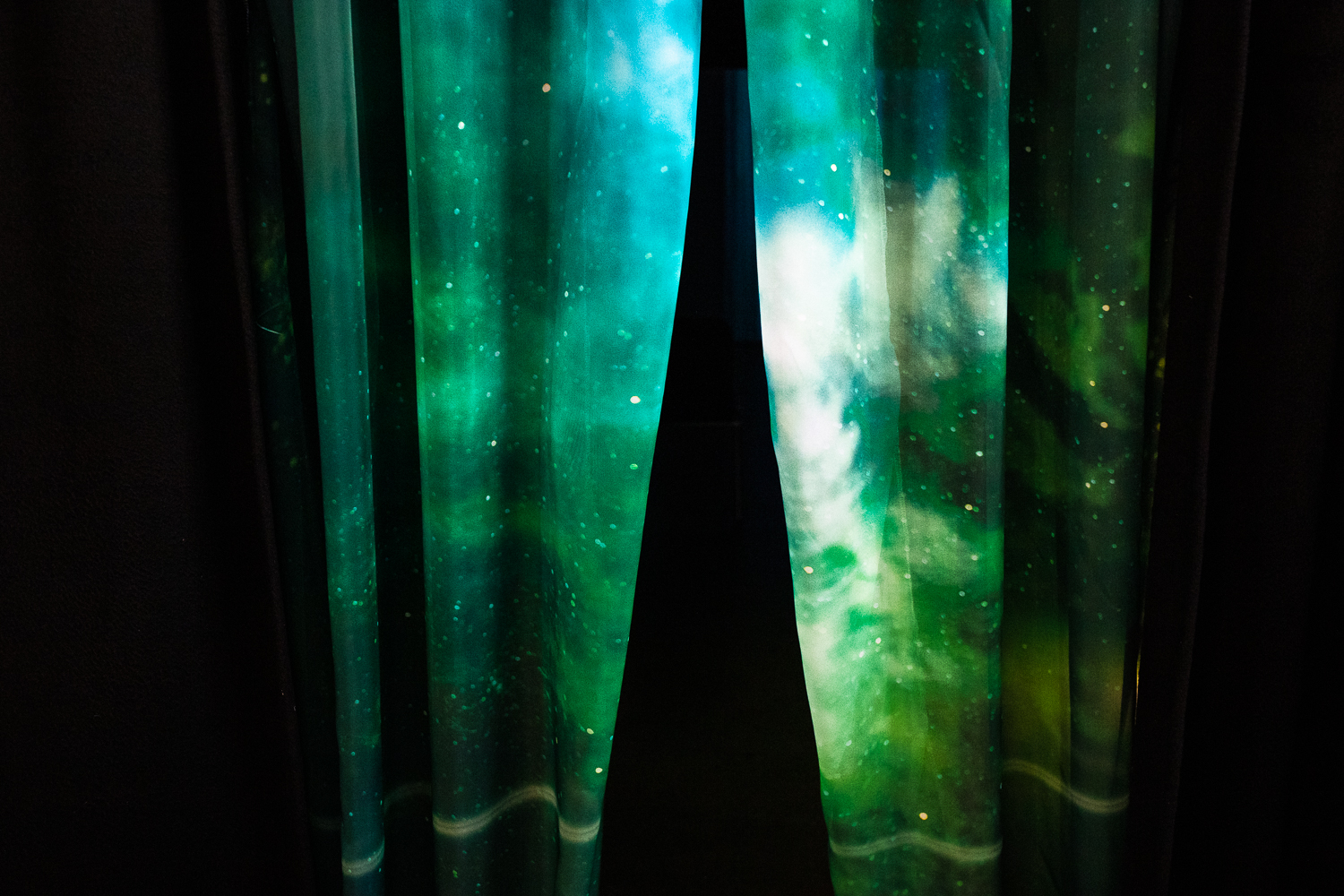 23 Possible Ends of a Firefly