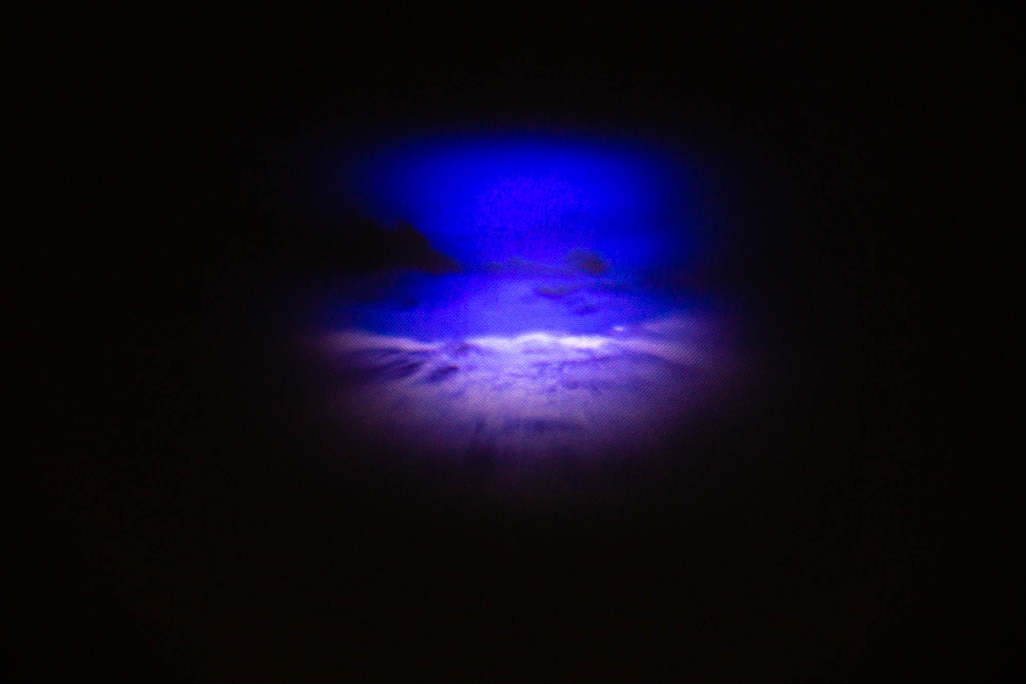 Little Paradise  2020