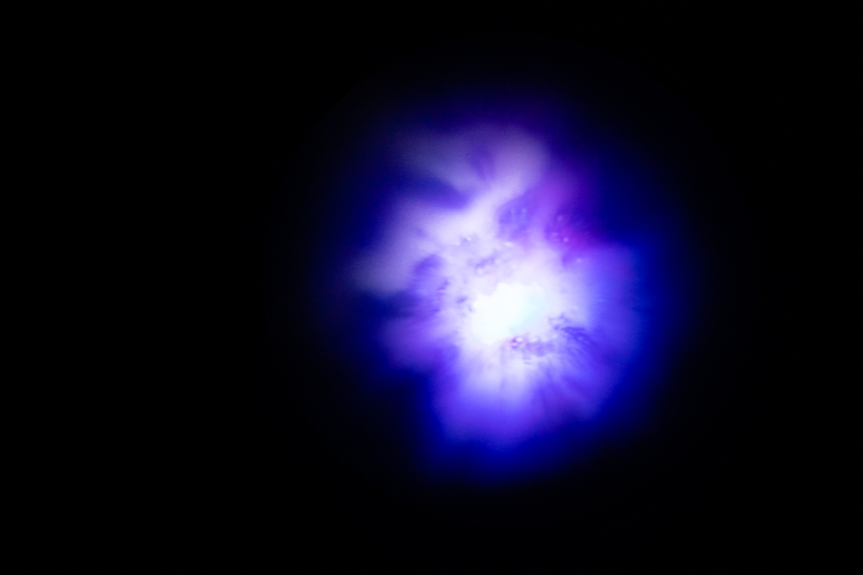 Little Paradise  2020