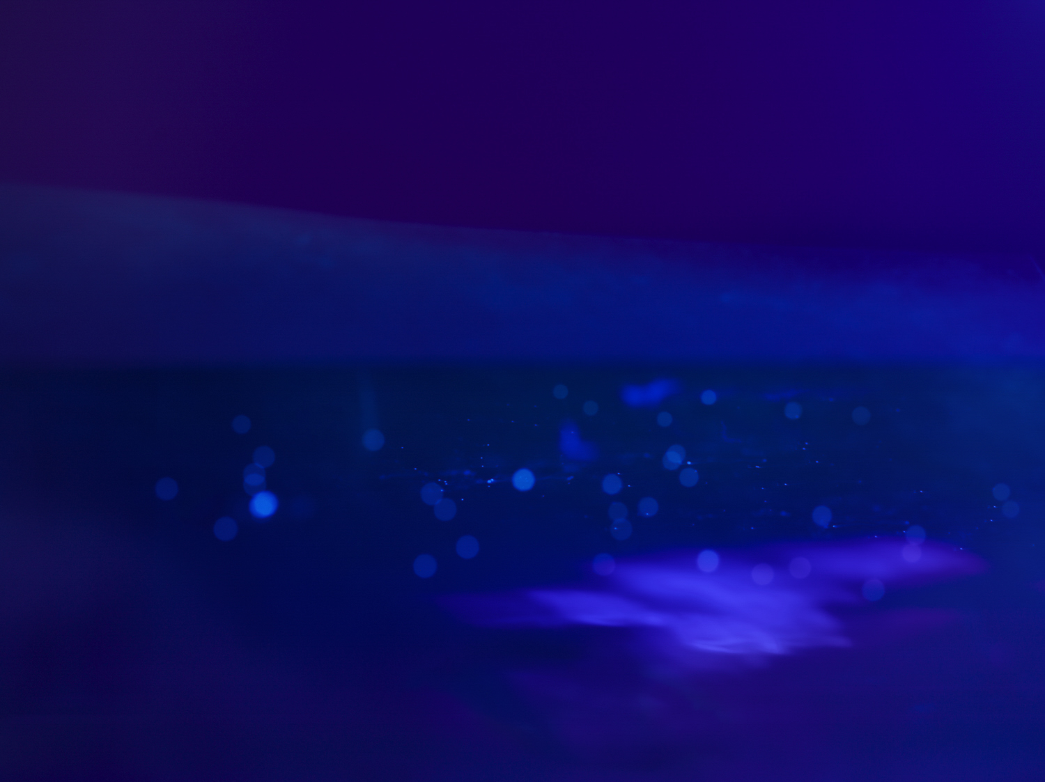 The Blue Hour of Dust 2022