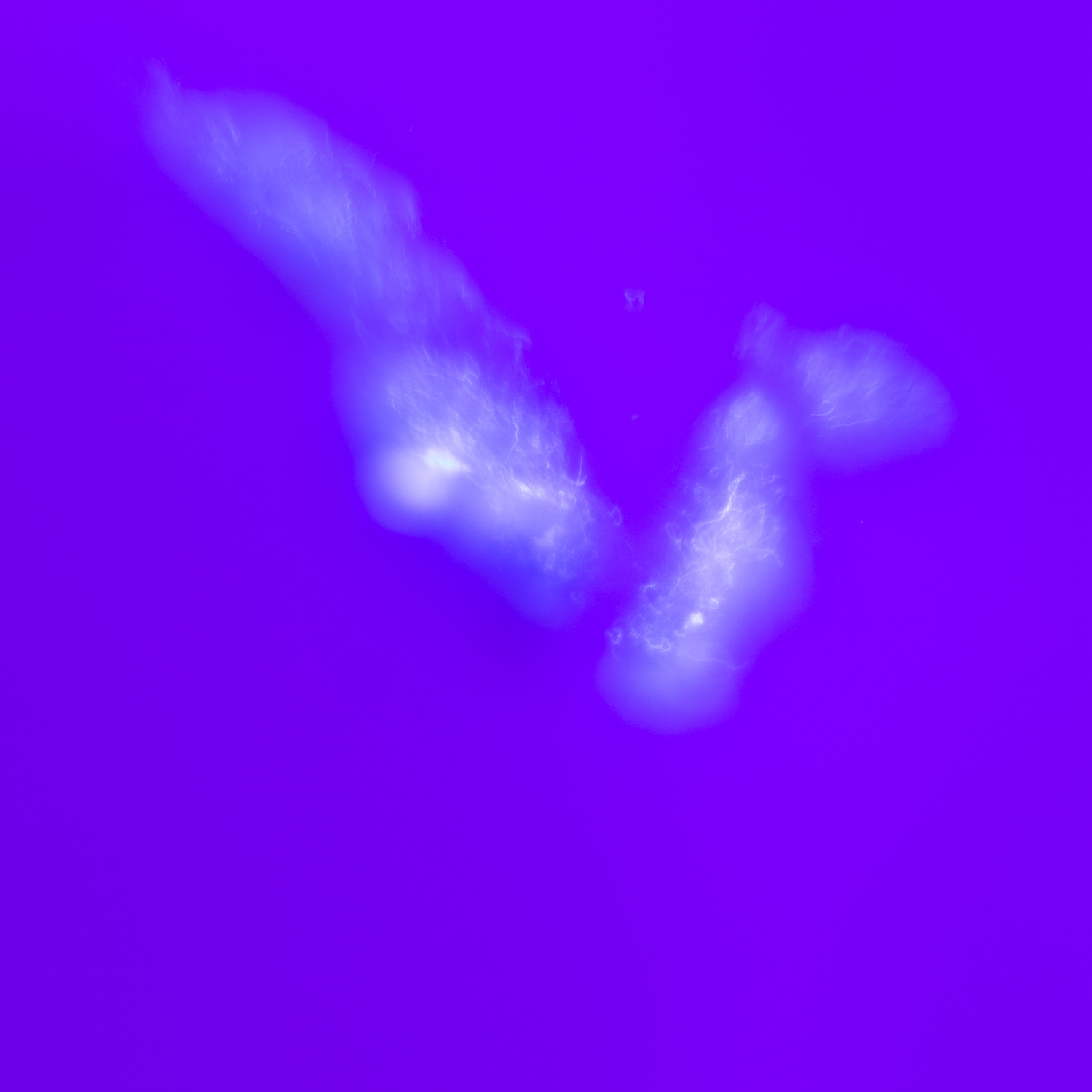 The Blue Hour of Dust 2022