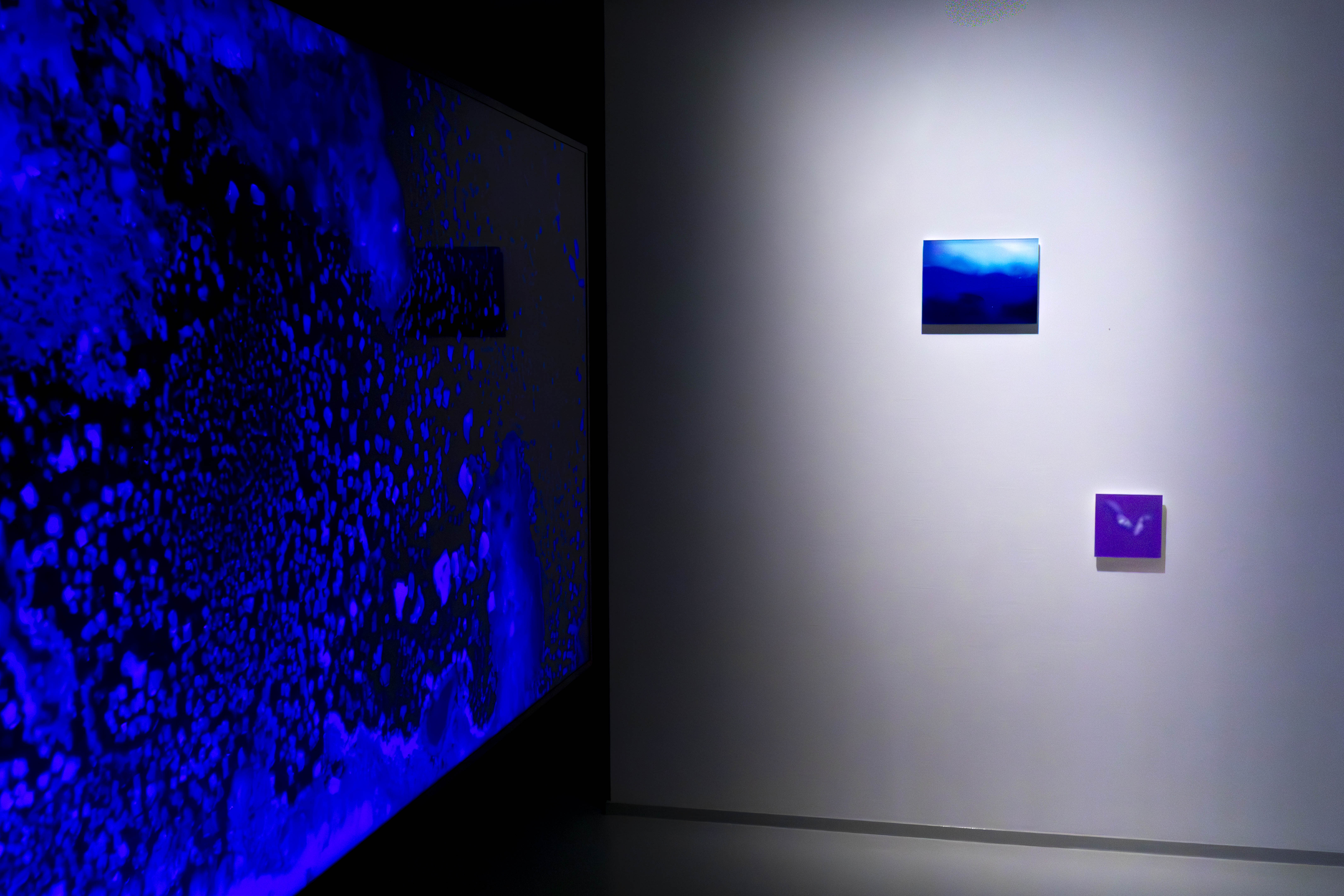 The Blue Hour of Dust 2022