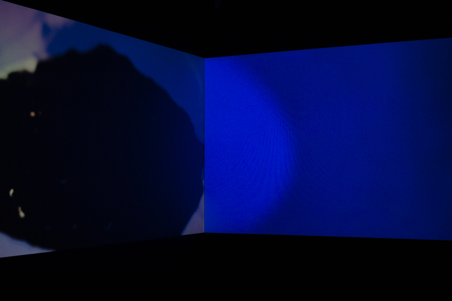 Studio Mustanapa 2020