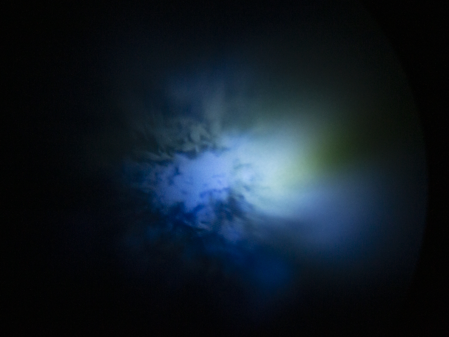 Little Paradise  2020