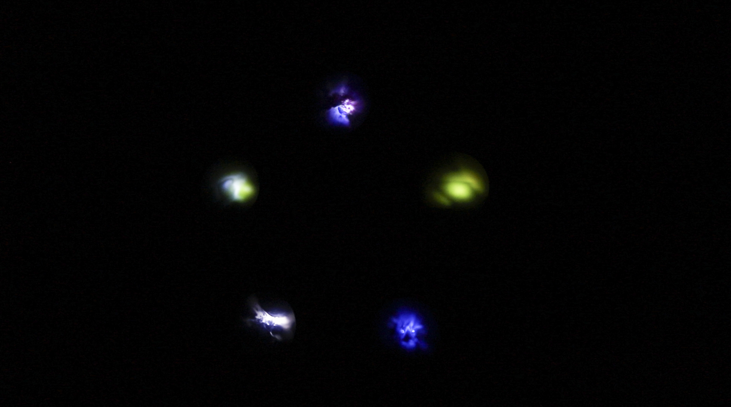 Little Paradise  2020