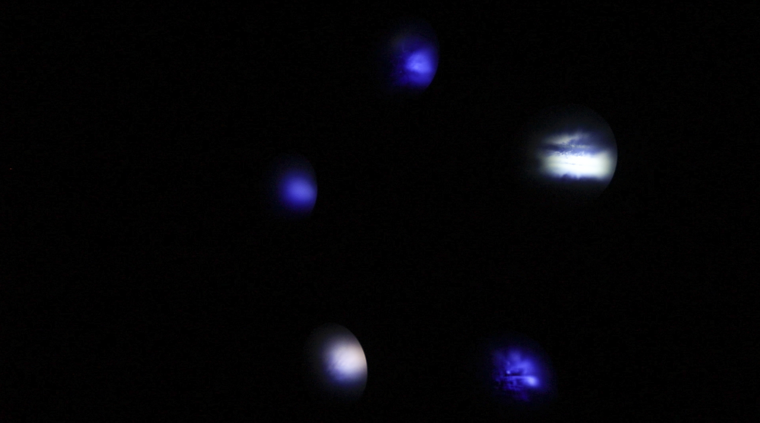 Little Paradise  2020